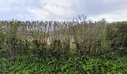 Digard Pascal, Peintre en Bâtiment à La Hague