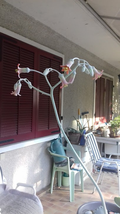 Canivet Stephane, Peintre en Bâtiment à Crest