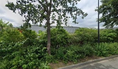 M Color, Magasin de Peintures à Brignais