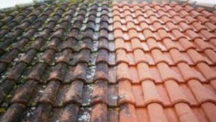 Magny Robert, Peintre en Bâtiment à Montgaillard