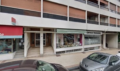 Tilleul Pourpre, Magasin de Peintures à Chamalières