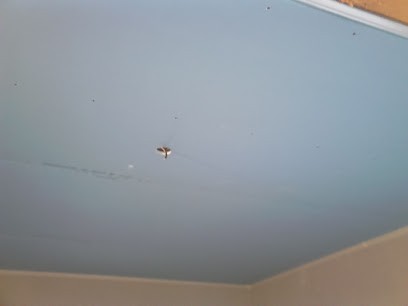 Brongniart et Fils SARL, Magasin de Peintures à Courpière