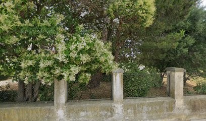Pintor Jean-Luc Boadas, Peintre en Bâtiment à Latour-Bas-Elne