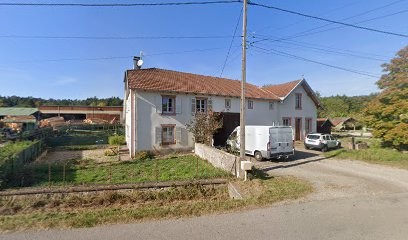 Biacchi Luc, Peintre en Bâtiment à Remomeix