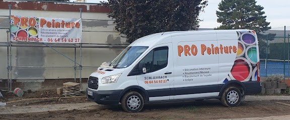 Pro Peinture, Peintre en Bâtiment à Schlierbach