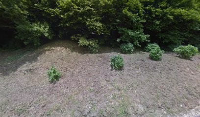 Szmaj Teddy, Peintre en Bâtiment à Couville