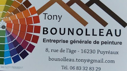 Tony Bounolleau 16100, Peintre en Bâtiment à Cognac