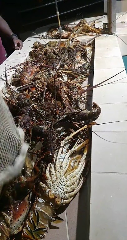 MASCI DTA, Peintre en Bâtiment à Richemont