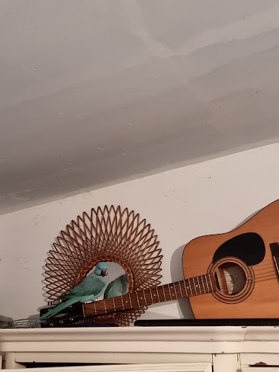 Perno Li Font, Peintre en Bâtiment à Pernes-les-Fontaines