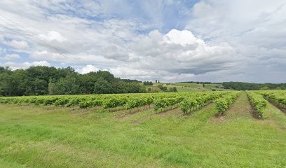 Morin Jean-Charles, Peintre en Bâtiment à Cherves-Richemont