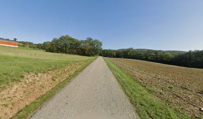 Lavorel François, Peintre en Bâtiment à Mésigny