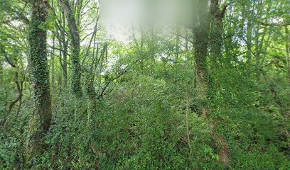 RD Peinture, Magasin de Peintures à Grandchamps-des-Fontaines