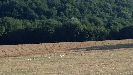 Perenet Daniel, Peintre en Bâtiment à Villeneuve-de-Marc