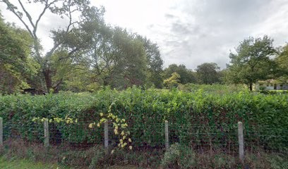 Cordouan Peinture, Peintre en Bâtiment à Grayan-et-l'Hôpital