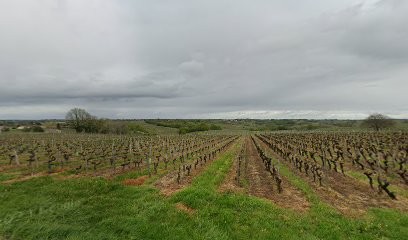 ETS LUCAS, Peintre en Bâtiment à Sainte-Croix-du-Mont
