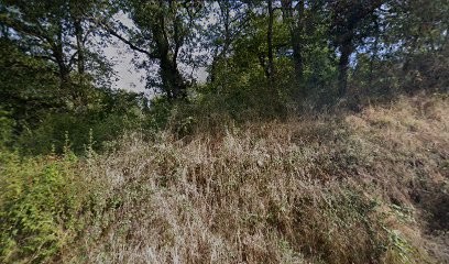 Lefebvre Victorien, Peintre en Bâtiment à Espalion