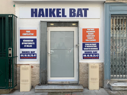 Haikel.bat, Peintre à Nice