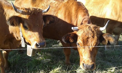 Vaudey Jean-Luc, Peintre en Bâtiment à Saint-Vital
