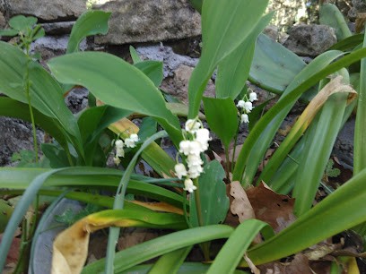 Xavier Del Pilar, Peintre en Bâtiment à Aigaliers