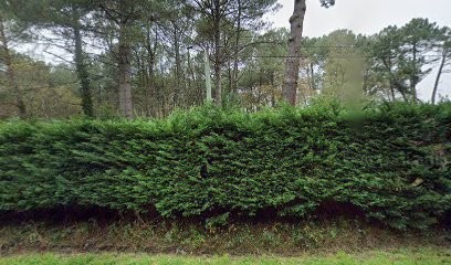 Deco-rev-peinture, Peintre en Bâtiment à Landévant