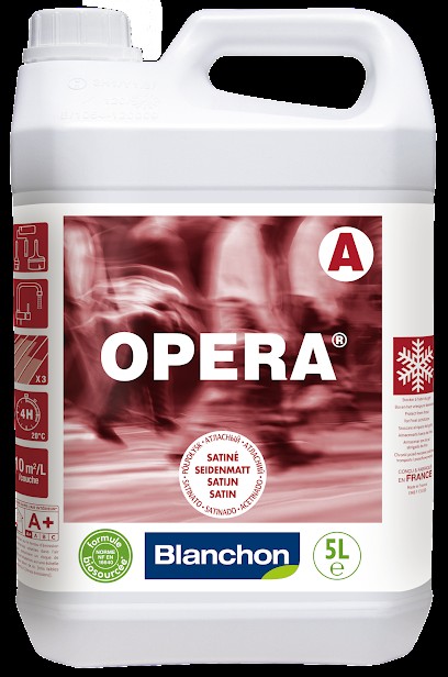 Blanchon, Magasin de Peintures à Saint-Denis