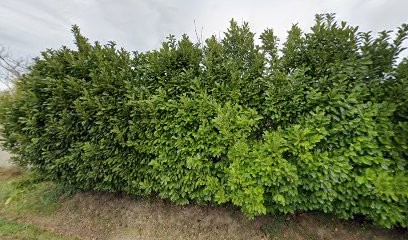 Gisbert Façades, Peintre en Bâtiment à Camaret-sur-Aigues