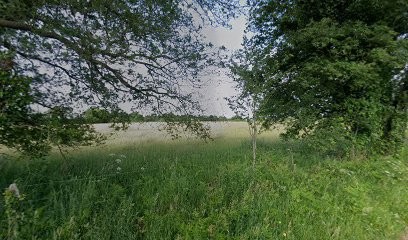 Stephant David, Peintre en Bâtiment à Locoal-Mendon