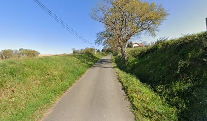 Martin Sandra, Peintre en Bâtiment à Vignes