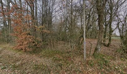 Lacosta Thierry, Peintre en Bâtiment à Pontgouin