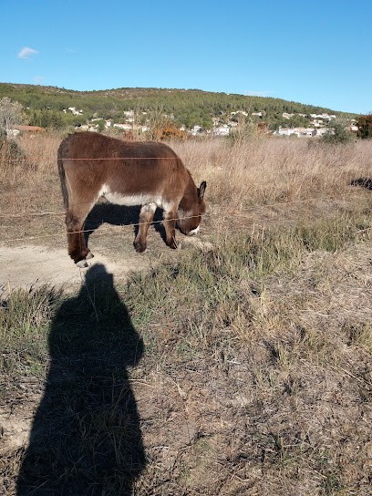 SAS Dosse, Peintre en Bâtiment à Caveirac