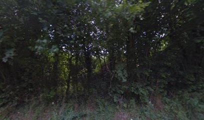 Beauchet Yannick, Magasin de Peintures à Marchemaisons