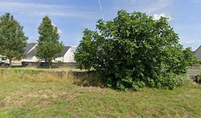 Entreprise Levard Thierry, Peintre en Bâtiment à Trélazé