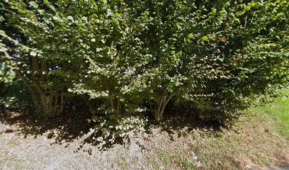 Ustariz Patxi, Peintre en Bâtiment à Hendaye