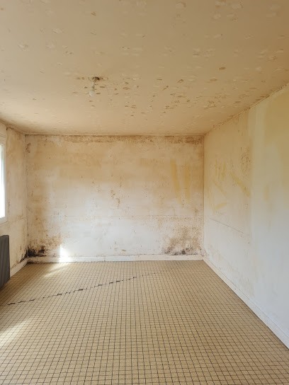 J.E renov, Peintre en Bâtiment à Jonchery-sur-Vesle