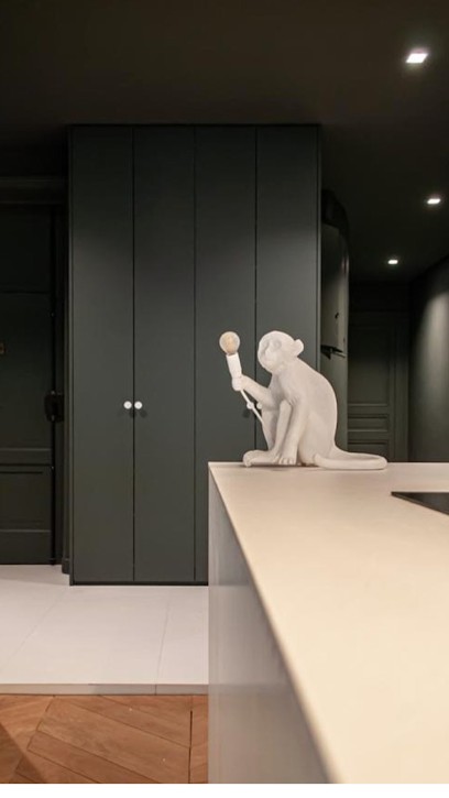 MPS plâtrerie peinture, Peintre en Bâtiment à Oullins