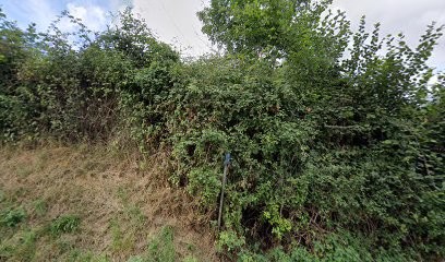 Rémi FAVEAU Peinture Et Décoration, Peintre en Bâtiment à Sarrouilles