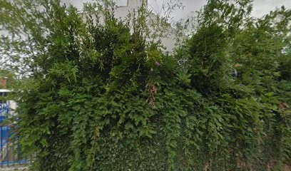 Nuancier Des Couleurs, Peintre en Bâtiment à Falleron