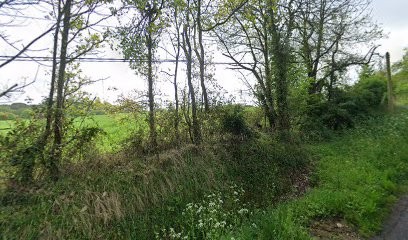 E.I.Gastineau Antoine Artisan Peintre, Peintre en Bâtiment à Couffé