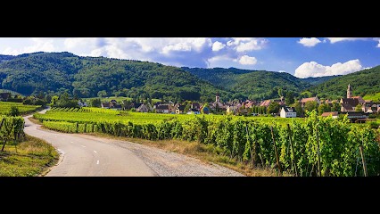 FC PEINTURE FRANCK CASIMIRIUS, Peintre en Bâtiment à Habère-Lullin