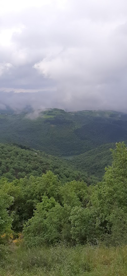 Maison De La Peinture Aveyron, Magasin de Peintures à Rodez