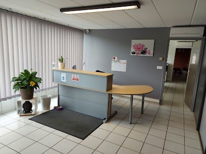 SARL ESPAGNOL, Peintre en Bâtiment à Gratentour