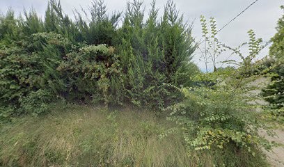 Guisiano SAS, Peintre en Bâtiment à Mazan