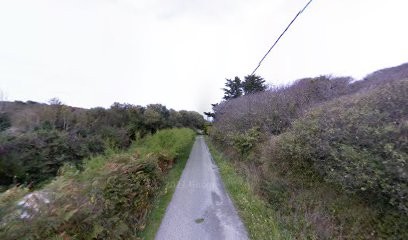 Nassini Pierre, Peintre en Bâtiment à Sauzon