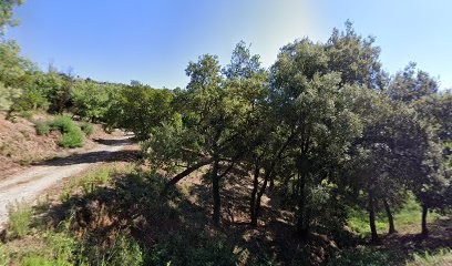 Dani Peinture, Peintre en Bâtiment à Roquebrune-sur-Argens