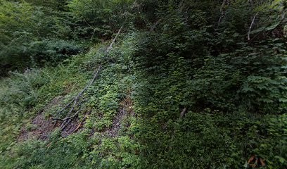 Décorénov - Peinture Intérieure, Rénovation & Décoration - Yenne, Peintre en Bâtiment à Saint-Jean-de-Chevelu