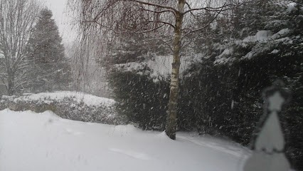 Cornu Yoann, Peintre en Bâtiment à Saint-Agrève