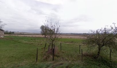 ALEXANDRE Sylvain : Plâtrier - Peintre - Menuiserie - Agencement, Peintre en Bâtiment à Lezoux