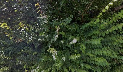 LD PEINTURE | Artisan Peintre Saint Drézéry, Peintre en Bâtiment à Saint-Drézéry