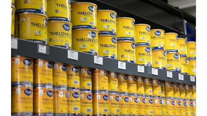 THEODORE MAISON DE PEINTURE VIENNE, Magasin de Peintures à Vienne