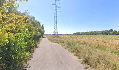 CAPELOT RENOVATION PEINTURE: Artisan Peintre Ravalement Peinture De Façade - Toiture - Boiseries - Ferronnerie - Nettoyage Demoussage De Toiture - Façade - Murs - Dallage - Pavé - Réparation Et Changement De Faîtage, Peintre en Bâtiment à Ostwald